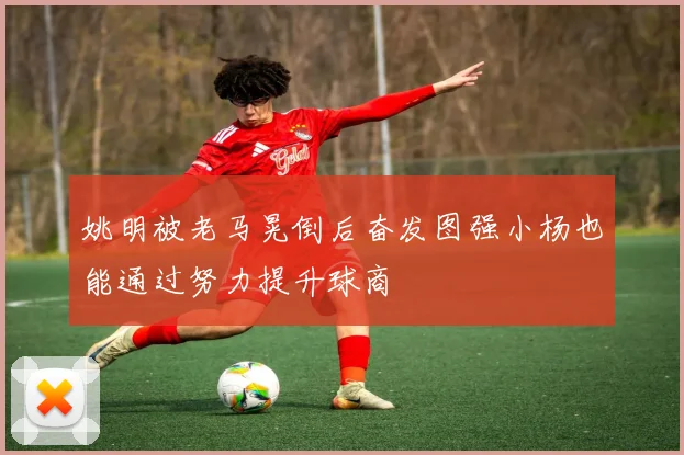 姚明被老马晃倒后奋发图强小杨也能通过努力提升球商