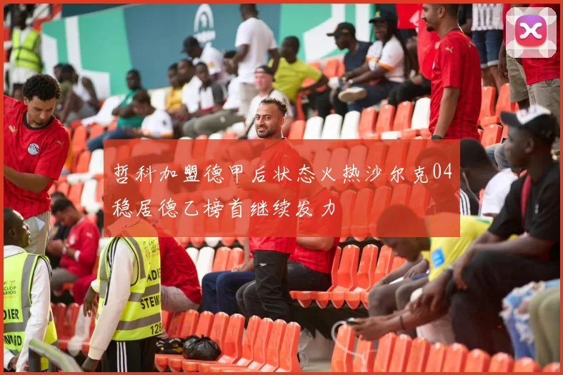 哲科加盟德甲后状态火热沙尔克04稳居德乙榜首继续发力