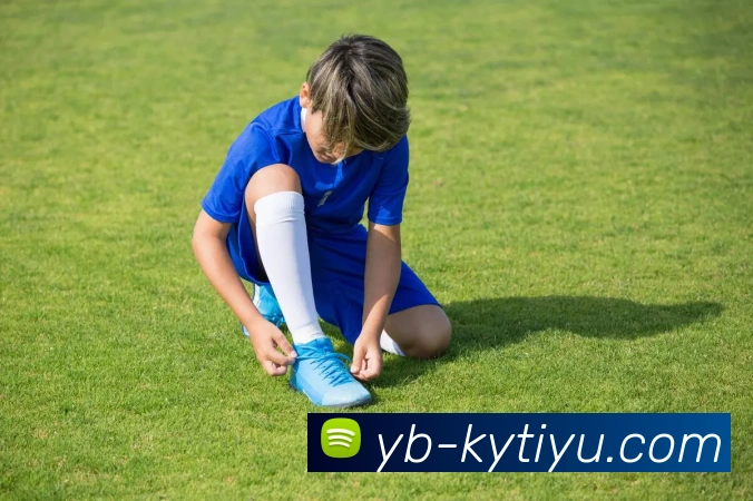 开云体育APP 高清赛事图